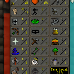 TheDang || No Email Set |239 levels| 35% off one minor offence | 95 Strength, 1 def, 40 attack | Pure | Bounty hunter | Z483 0
